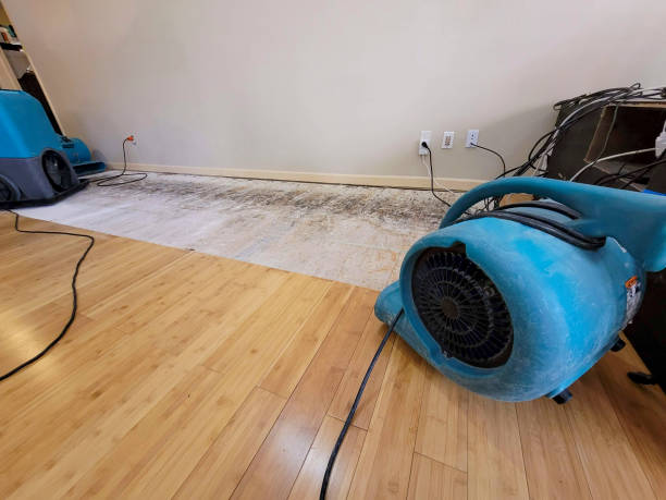 Professional Burst Pipe Water Damage technician working in Killbuck, OH